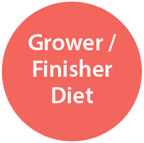 Grower / Finisher Diet