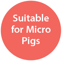 Suitable for Micro Pigs