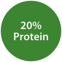 20% Protein