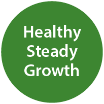 Healthy Steady Growth