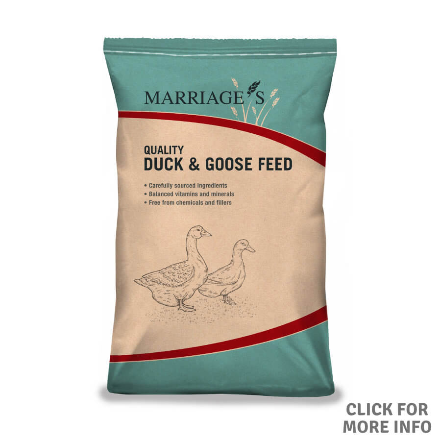 Duck And Goose Grower Pellets