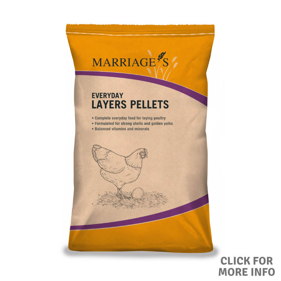 Everyday Layers Pellets