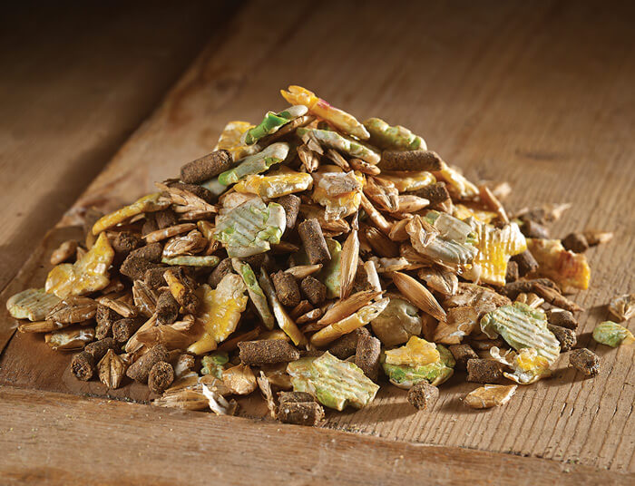 Marriage's Quality Pet Foods and Animal Feeds