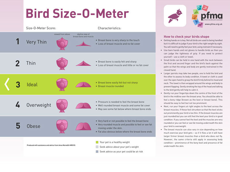 PFMA Bird Size Guide