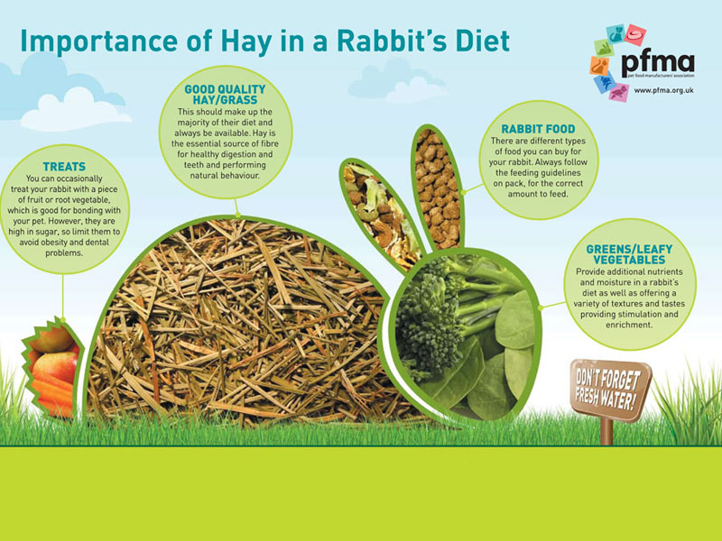 PFMA Importance of Hay Factsheet