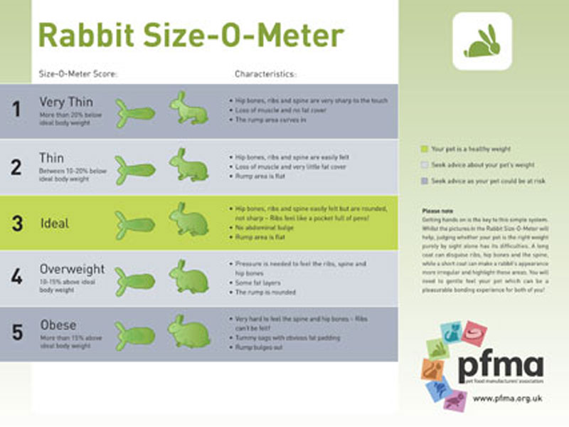 PFMA Rabbit Size Guide