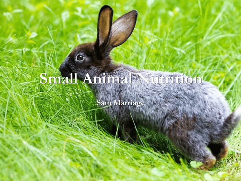 Small Animal Nutrition