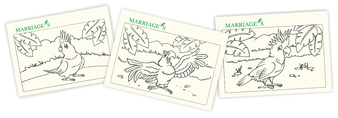 Parrot Colouring Pages