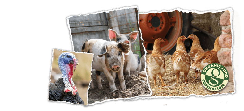 Organic Animal Feed - Marriage's - Quality Pet Foods and Animal Feeds Organic Animal Feed - Marriage's - Quality Pet Foods and Animal Feeds