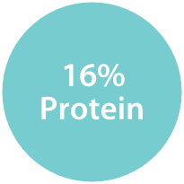 16% Protein