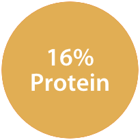16% Protein