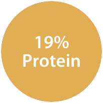 19% Protein