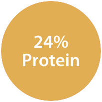 24% Protein