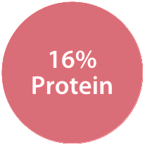 16% Protein