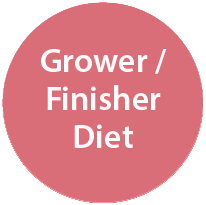 Grower / Finisher Diet