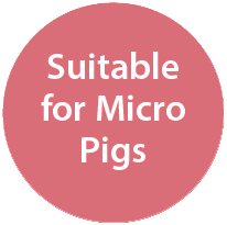 Suitable for Micro Pigs