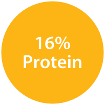 16% Protein