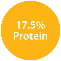 17.5% Protein