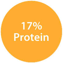 17% Protein