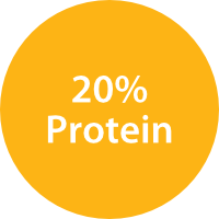 20% Protein