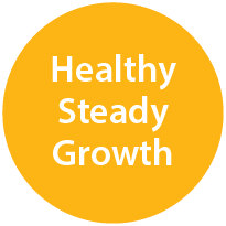 Healthy Steady Growth