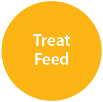 Treat Feed