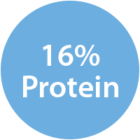 16% Protein