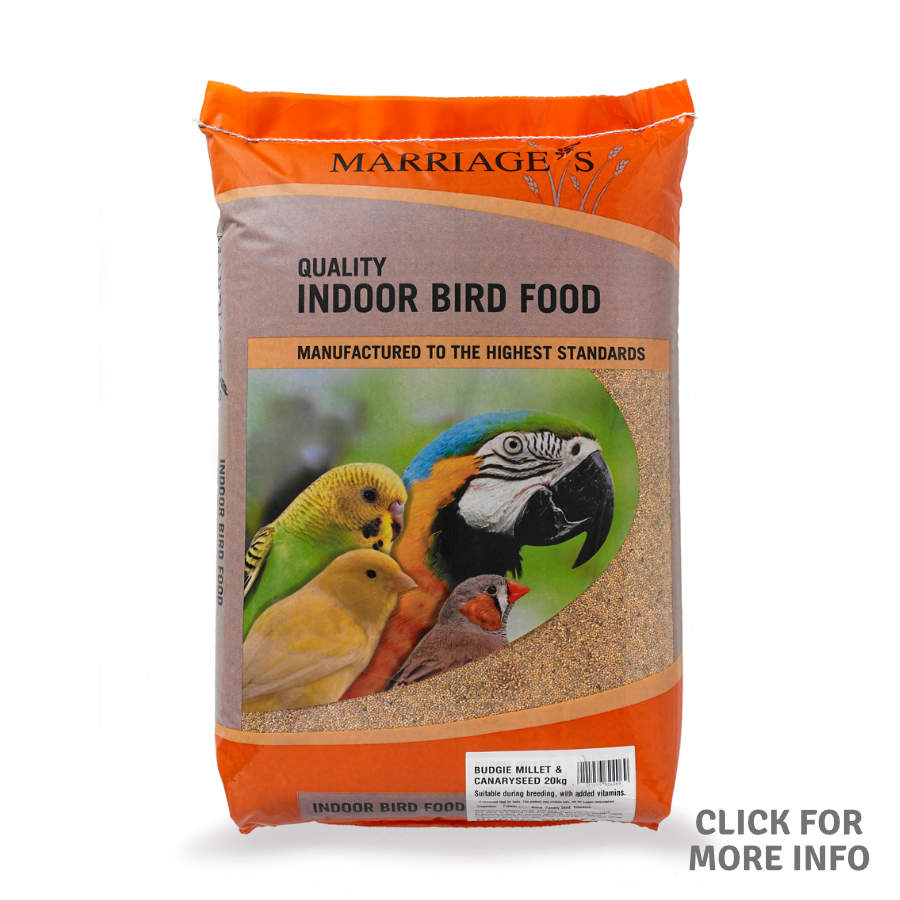 Budgie Millet and Canary Mix