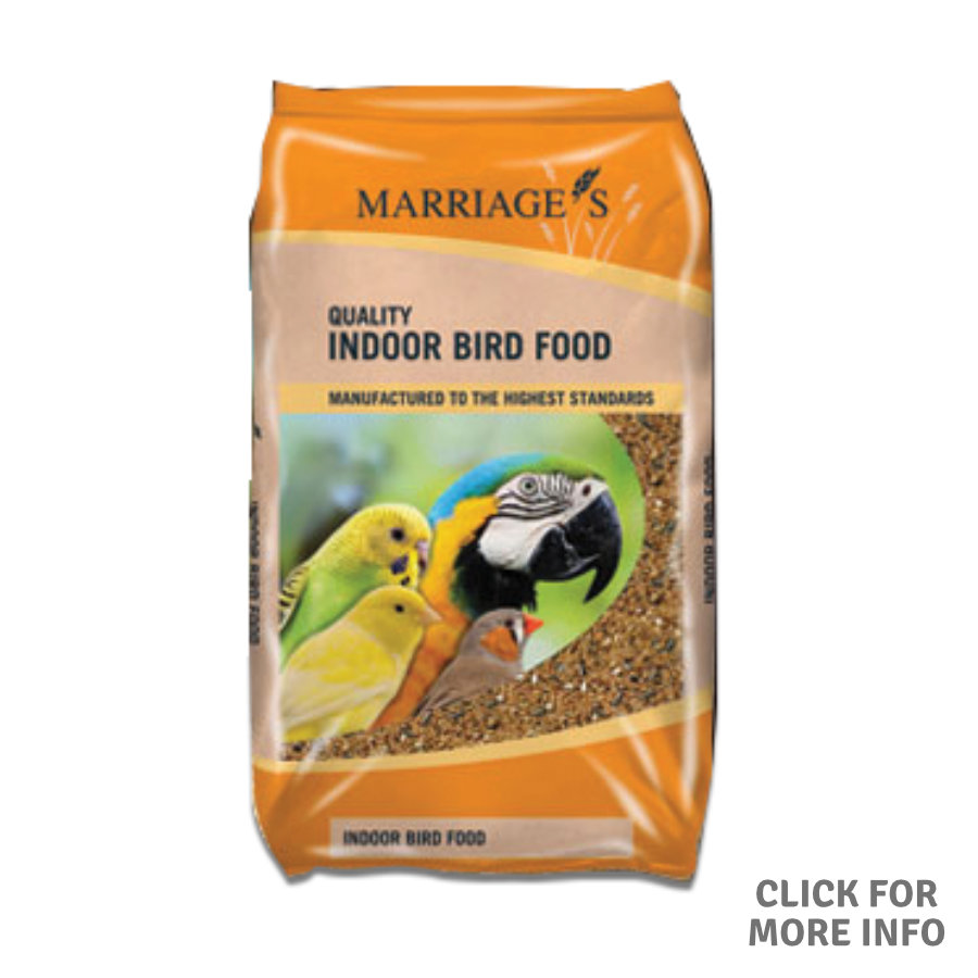Fun Foraging Parrot Food
