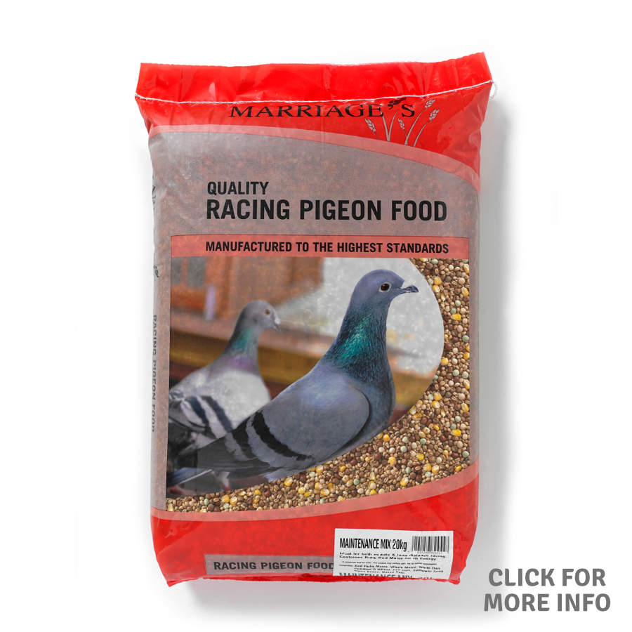 Racing Pigeon Food Marriage's Quality Pet Foods and Animal Feeds