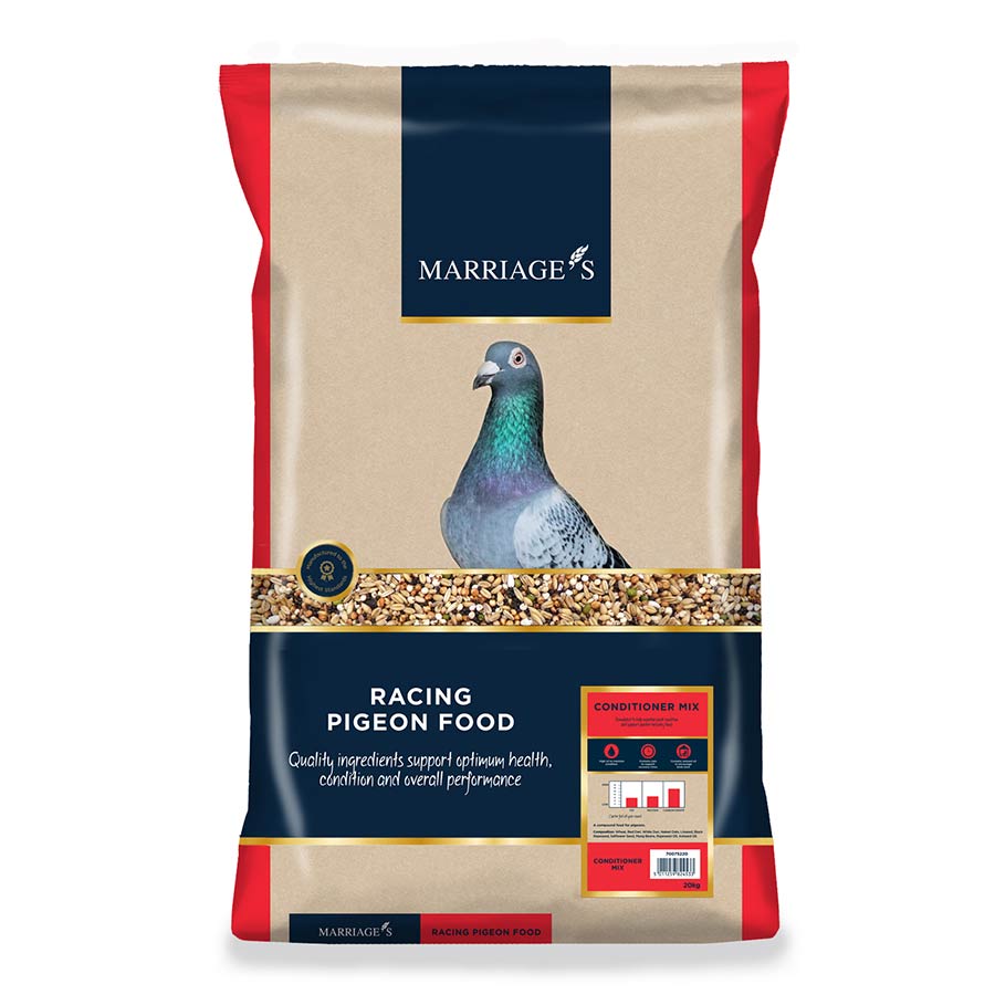 Pigeon Conditioner