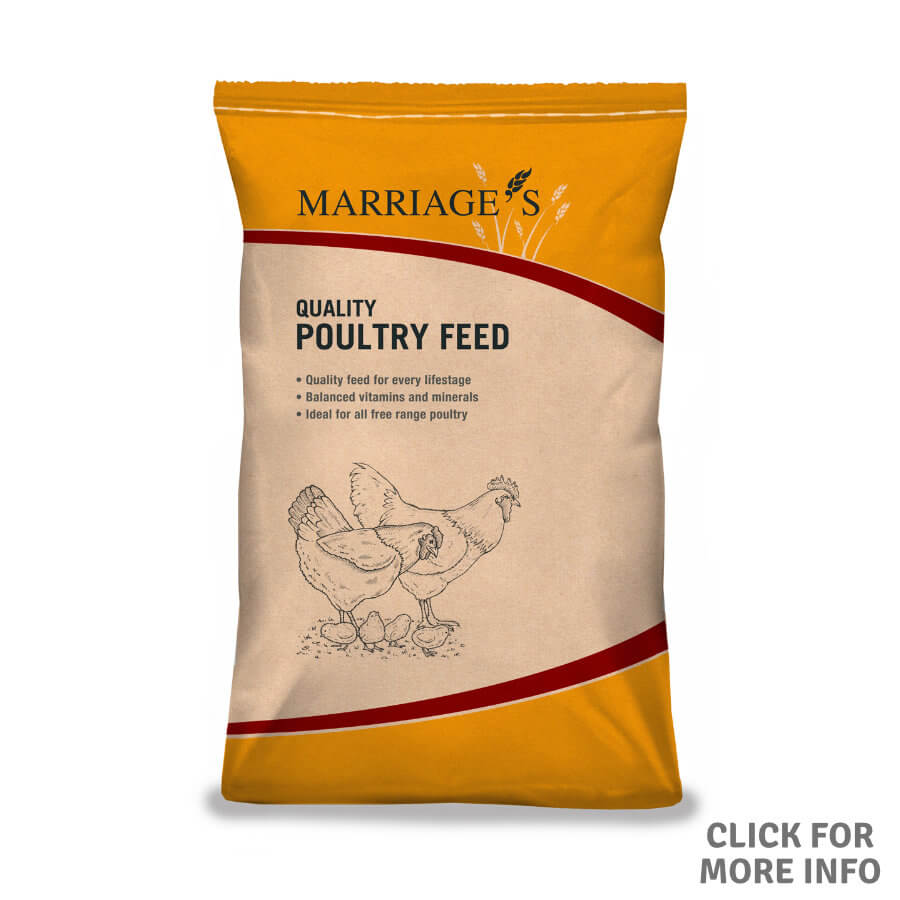 Poultry Breeders Pellets