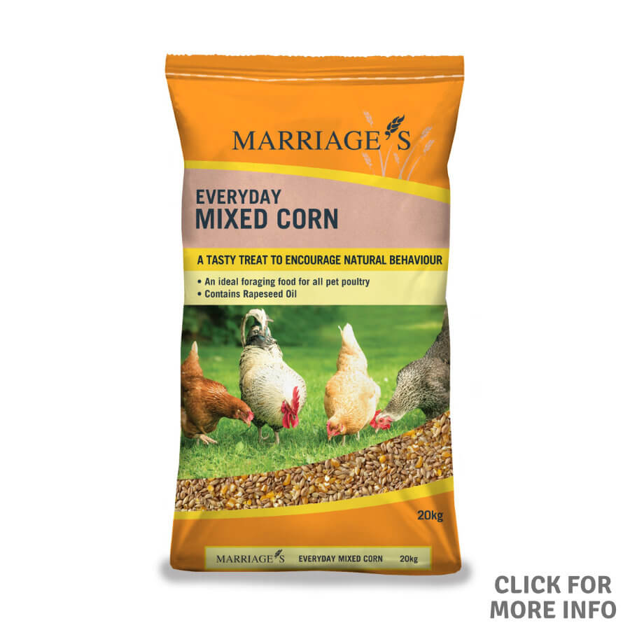 Everyday Mixed Corn