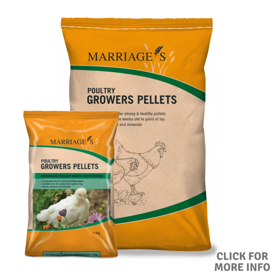 Poultry Growers Pellets