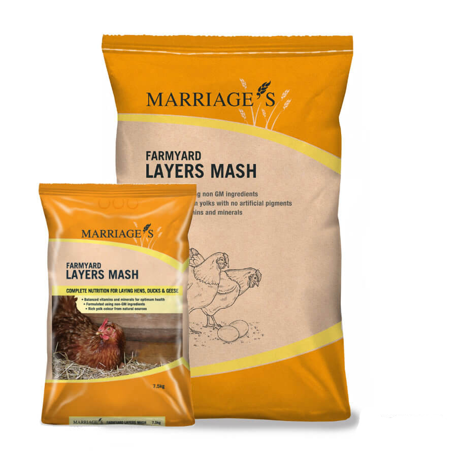 Farmyard Layers Mash