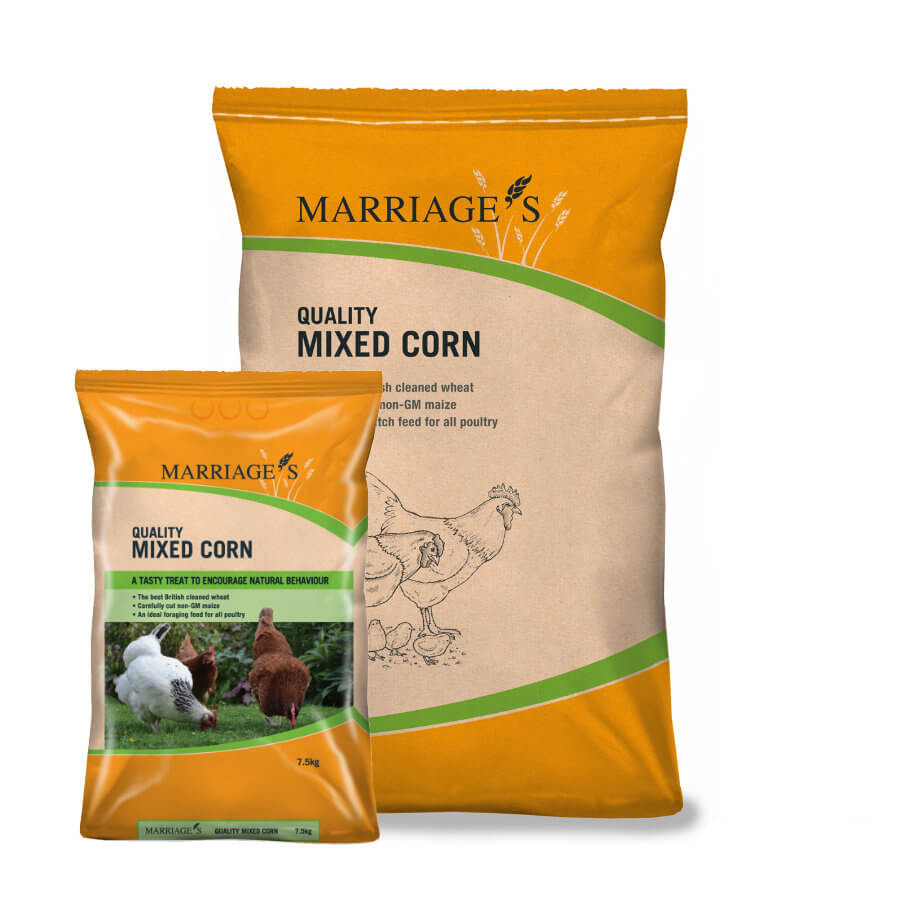 Mixed Corn