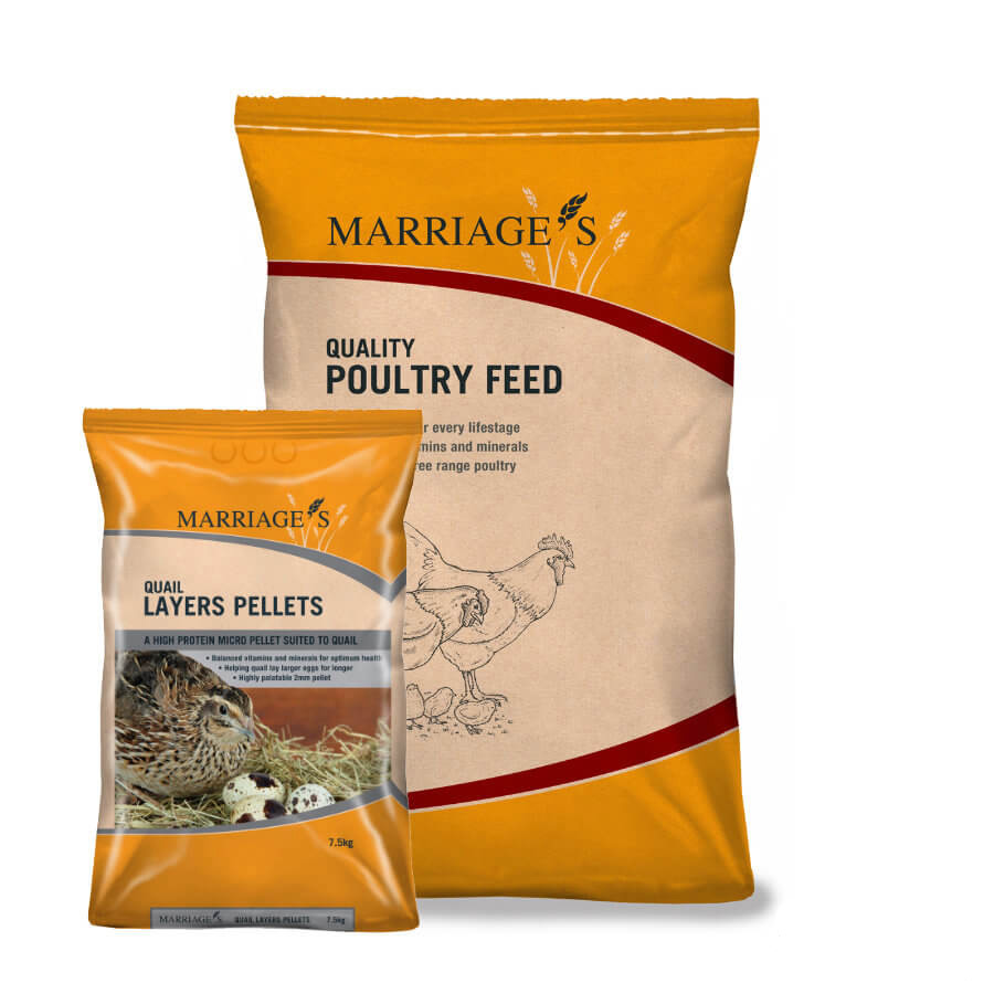 Quail Layers Pellets