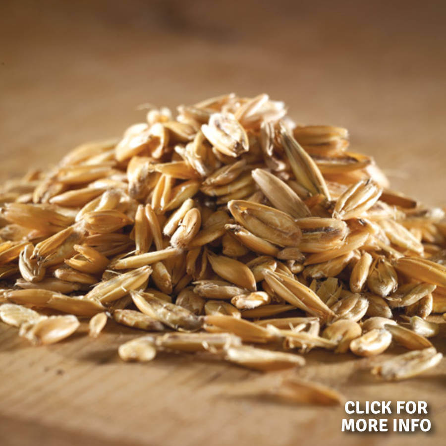 Straight Animal Feeds Marriage's Quality Pet Foods and Animal Feeds