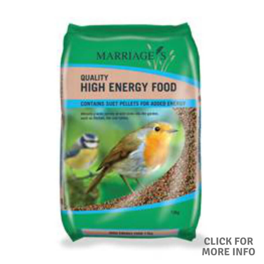 Wild Bird Food