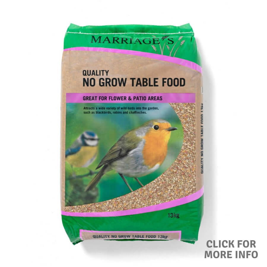 No Grow Table Food