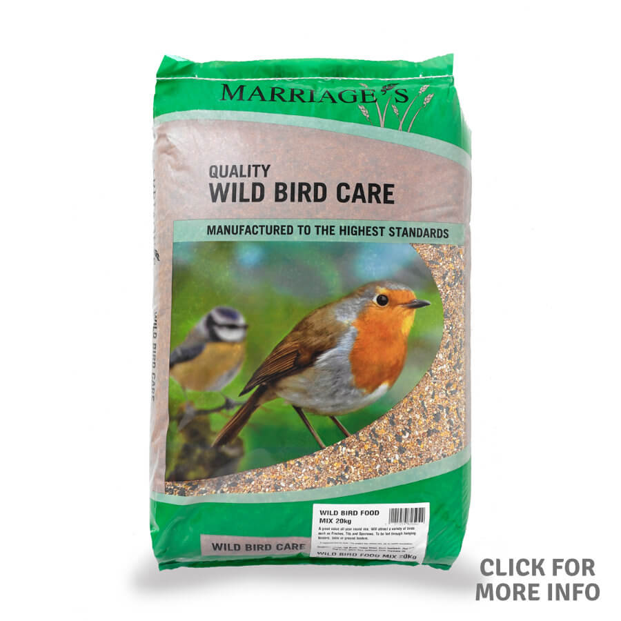 Wild Bird Food