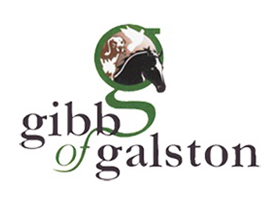 Gibbs of Galston